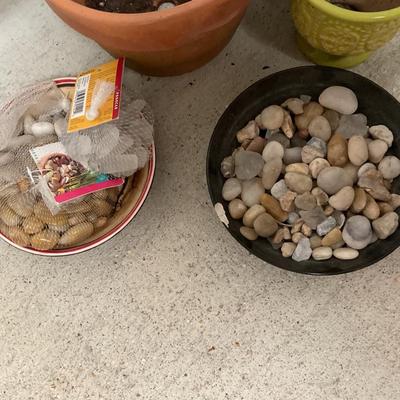 Lot of Variety Plant Pots