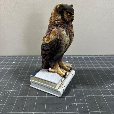 Great Horned Owl 