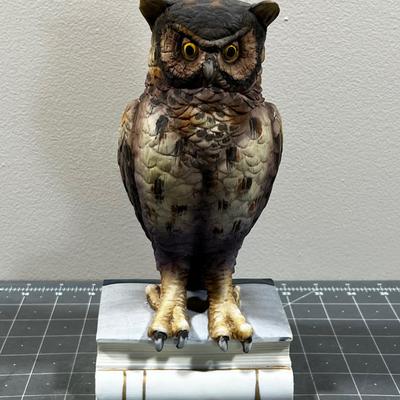 Great Horned Owl 