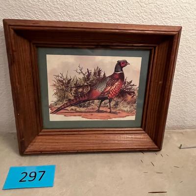 Pheasant Picture