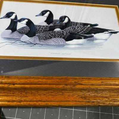 Prints: Farms and Ducks