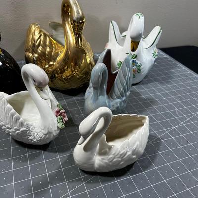 All the Swans in the HOUSE (6) 