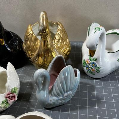 All the Swans in the HOUSE (6) 
