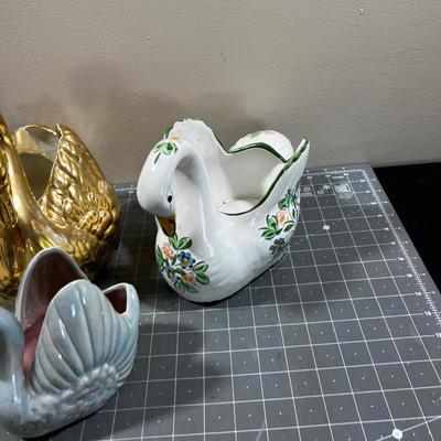 All the Swans in the HOUSE (6) 
