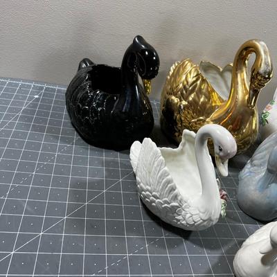 All the Swans in the HOUSE (6) 