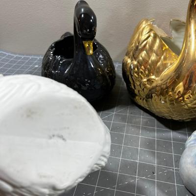 All the Swans in the HOUSE (6) 