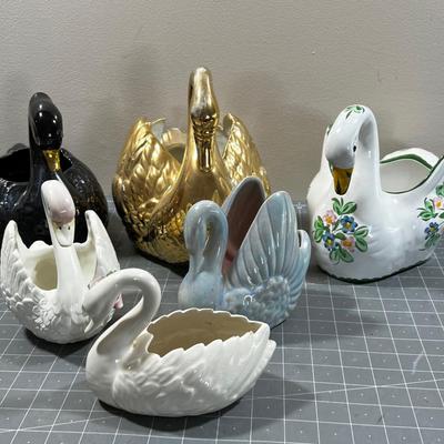 All the Swans in the HOUSE (6) 