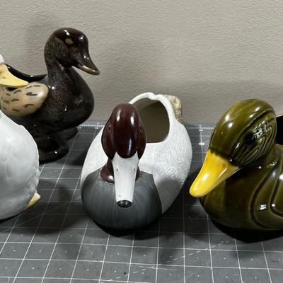 Duck , Duck, Duck, Goose