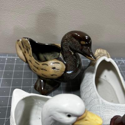 Duck , Duck, Duck, Goose