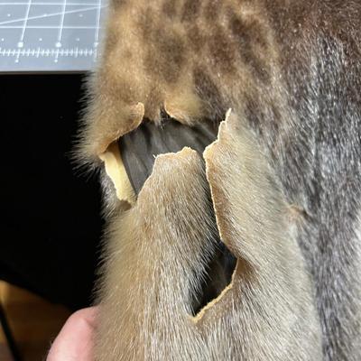 ODD Fur Coat - (Seal, Otter, etc.