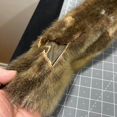 ODD Fur Coat - (Seal, Otter, etc.