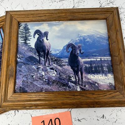 Big Horn Sheep And Yosemite's Half dome Framed Photos