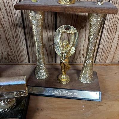 3 Truck Driver Trophy's