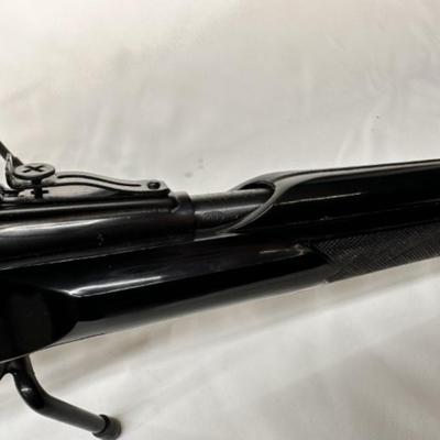 Modern and Military Rifles - Remington Apache Black Nylon 22 Rifle 
