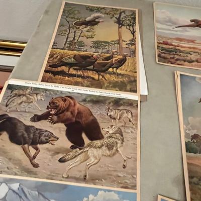 Unframed Wildlife Prints