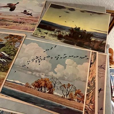 Unframed Wildlife Prints