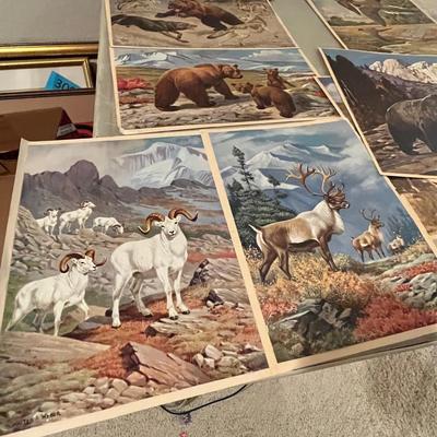 Unframed Wildlife Prints