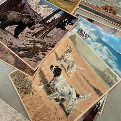Unframed Wildlife Prints