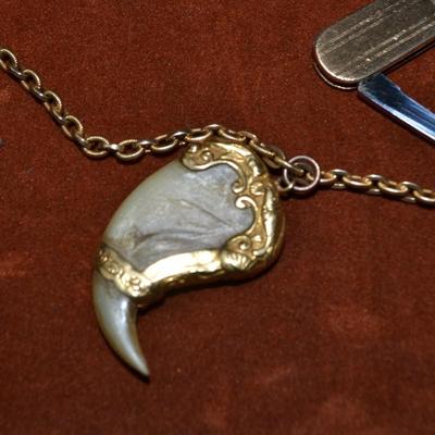 LOT 387. POCKET WATCH CHAIN WITH TIGER CLAW AND PEN KNIFE