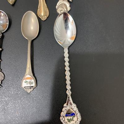 Travel Spoon Collection With Wall Display