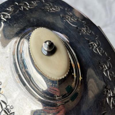 English Silver Plate Tea Caddy