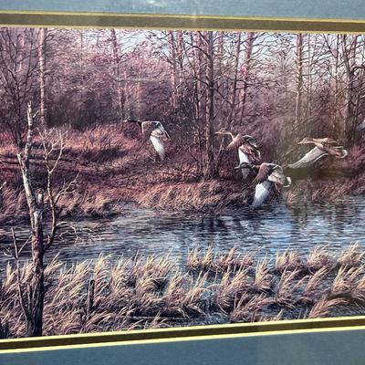 Terry Redlin Print "Apple River Mallards 1977