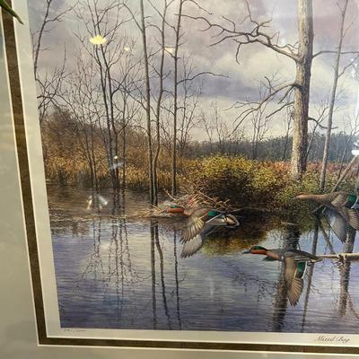 Plasschaert "Mixed Bag" Signed & Numbered Print