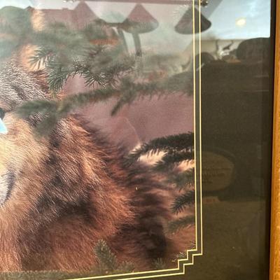 Wolf Photograph Framed Art