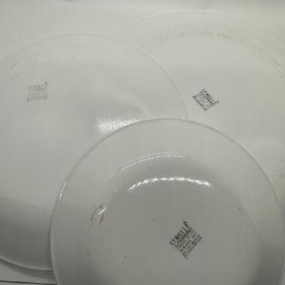 Corning Corelle Winter Frost Plates