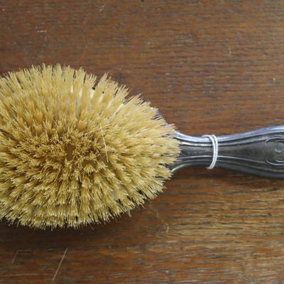 Silver Brush