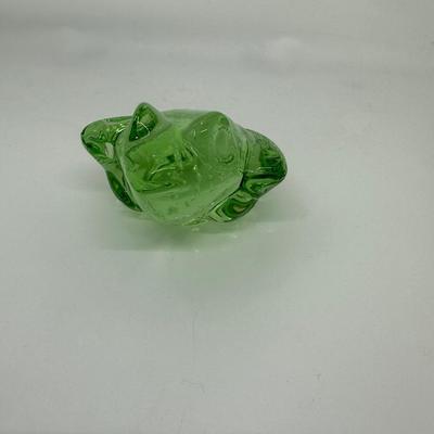 Small Glass Frog