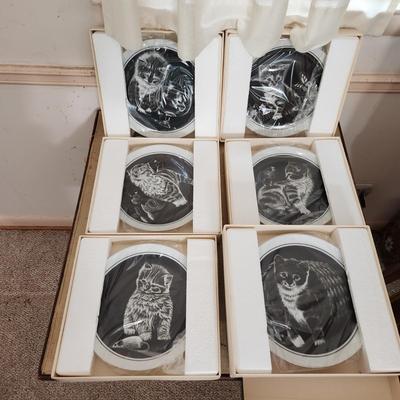 Royal Cornwall Ltd. Kitten's World plates Rudy Druguett