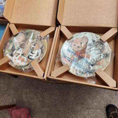 8 Royal Worcester Kitten Encounters Hamilton Plate Collection  Pam Cooper