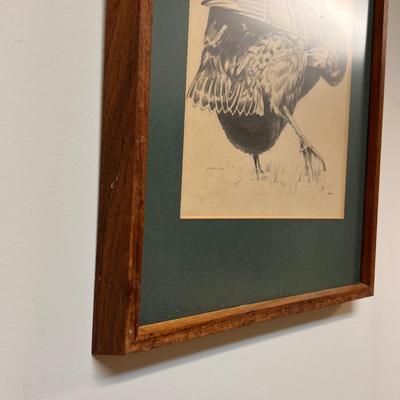 Framed Matted Duck Pencil on Paper - Original Artwork