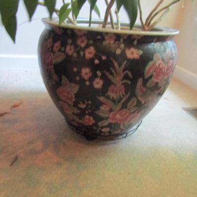 Ceramic Pot with Live Plant