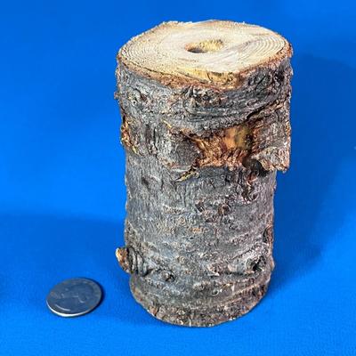 TREE BRANCH SECTION 4-1/2â€ TALL 2-1/2â€ DIAMETER