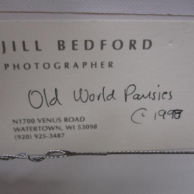 Jill Bedford Old World Pansies Framed Photo