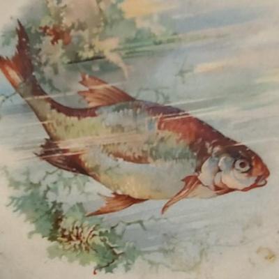 2 Vintage Fish Plates  -  8 inches across