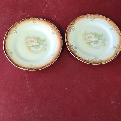 2 Dessert Plates with Brown Edges and Flowers - 6 1/2 inches across