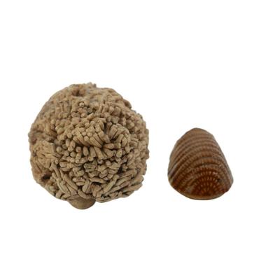 Vintage Hedgehog Figurines