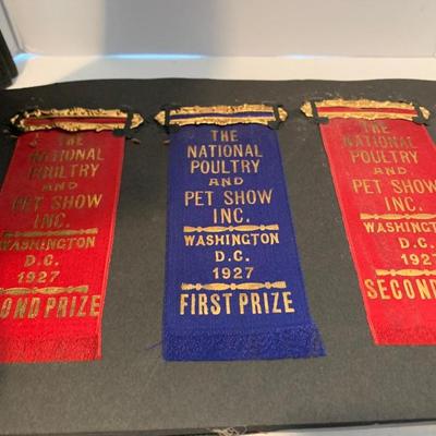 1920s Baltimore Scrapbook Poultry Show Ribbons - Photos Loch Raven +++