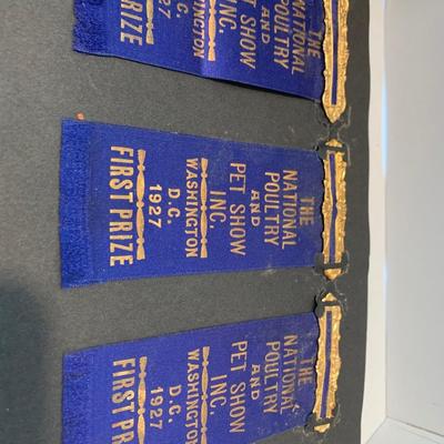1920s Baltimore Scrapbook Poultry Show Ribbons - Photos Loch Raven +++