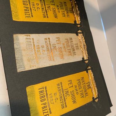 1920s Baltimore Scrapbook Poultry Show Ribbons - Photos Loch Raven +++