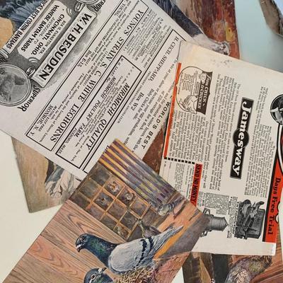 1920s Baltimore Scrapbook Poultry Show Ribbons - Photos Loch Raven +++