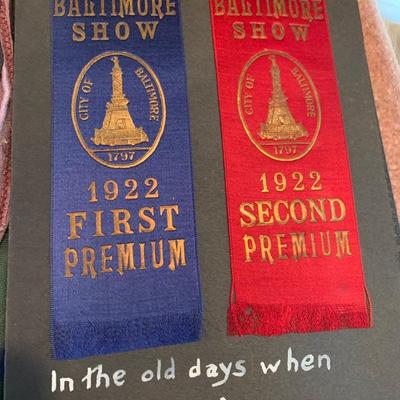 1920s Baltimore Scrapbook Poultry Show Ribbons - Photos Loch Raven +++