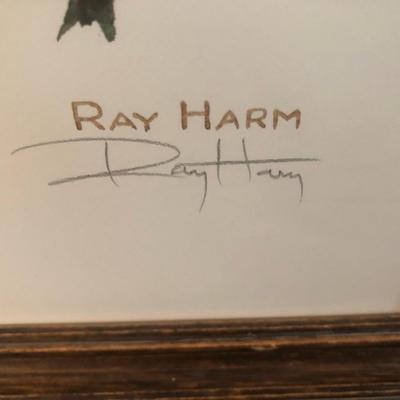 Ray Harm Print