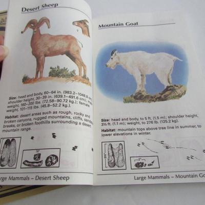 Old Deer Hunting Tag, Wildlife ID Pocket Guide and Treasured Flights Bird Planting Guide and Journal