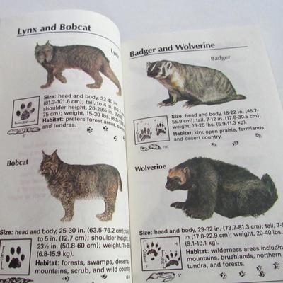 Old Deer Hunting Tag, Wildlife ID Pocket Guide and Treasured Flights Bird Planting Guide and Journal