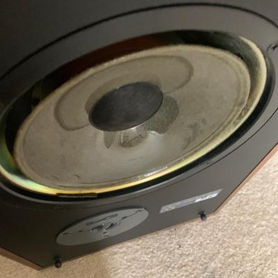 EPI T/E 100 Time/Energy Series Speakers