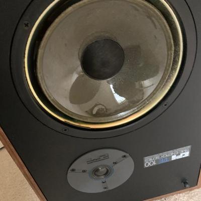 EPI T/E 100 Time/Energy Series Speakers